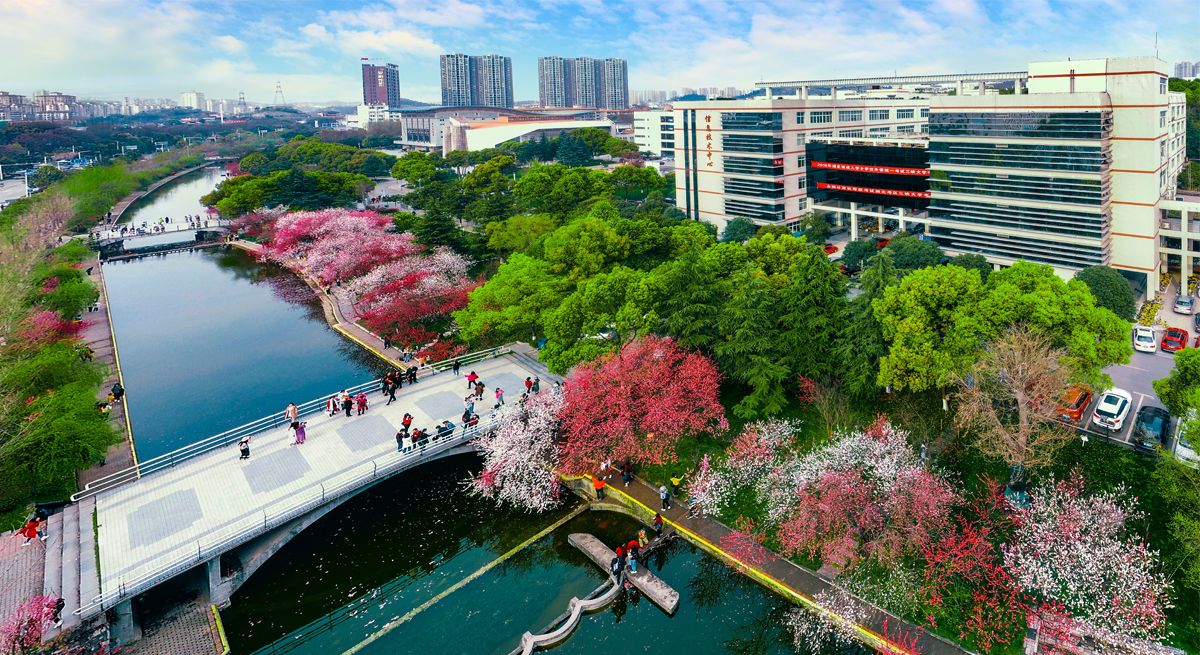 “趣享运动 携手迎新”beat365官方网站机关工会趣味运动会圆满落幕