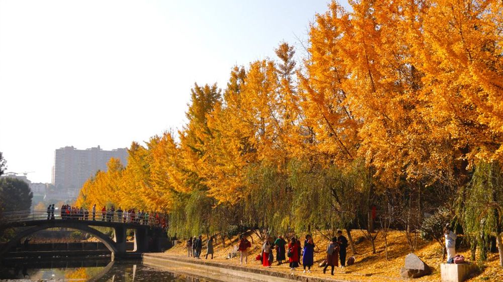 beat365官方网站风景