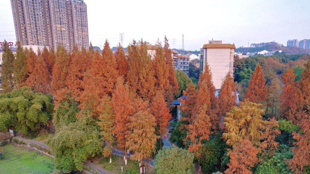 beat365官方网站风景