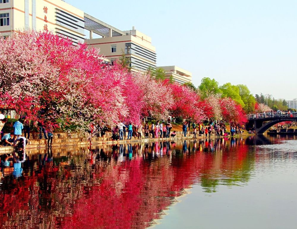 beat365官方网站风景